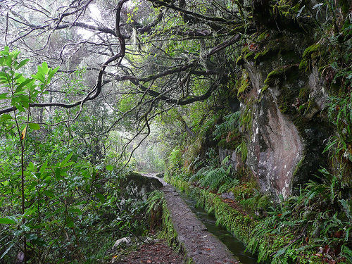 Vivere a Madeira, Portogallo